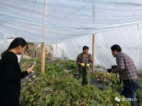 安阳吃瓜群众,揭秘街头巷尾的热辣话题