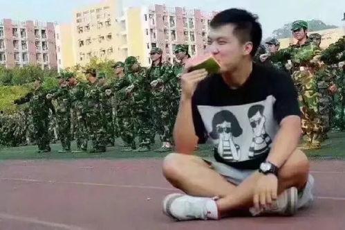 陈子豪吃瓜群众,吃瓜群众的视角解读娱乐圈风云