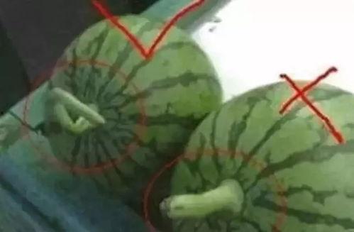 做一个历史的吃瓜群众,历史事件中的趣味瞬间