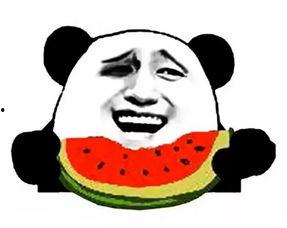 巅峰吃瓜群众小说下载,揭秘网络小说世界的下载风云