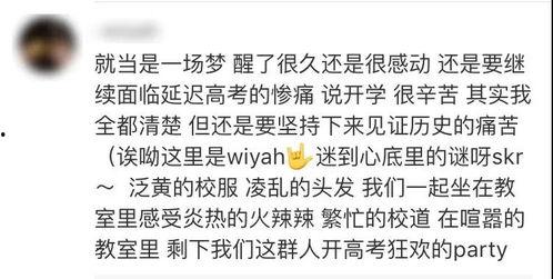 吃瓜群众我爱你百度云,揭秘网络热词背后的故事与影响