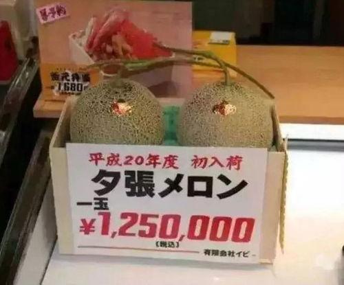 深夜吃瓜群众点心文案,揭秘吃瓜群众的夜宵秘密