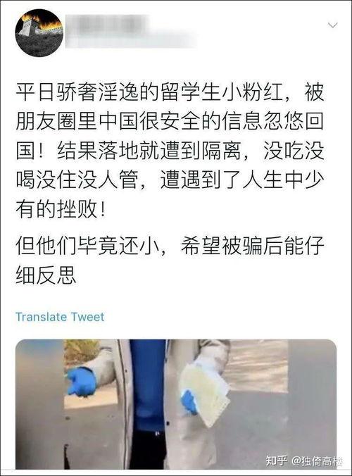 三台吃瓜群众事件始末,一场网络舆论的风暴与反思