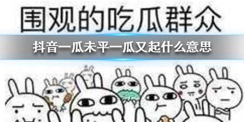 什么是吃瓜群众抖音号