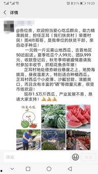 吃瓜群众的第2本书是啥,瓜田秘闻录