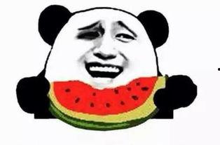 当你遇到了吃瓜群众,一场意外的社交风波