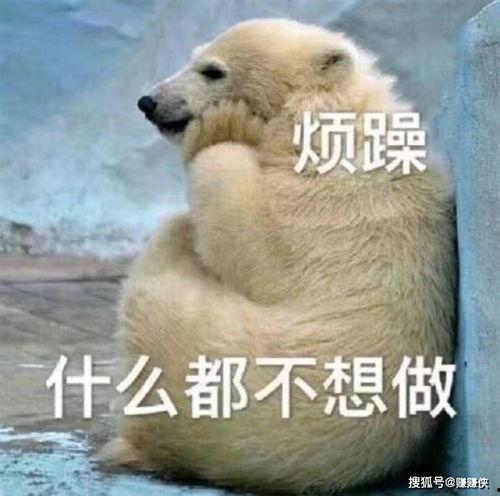 打架的吃瓜群众图片搞笑,吃瓜群众表情包笑翻网友