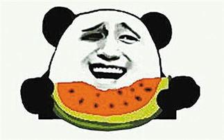 吃瓜群众瓜子的图片大全,吃瓜群众瓜子的图片大全赏析