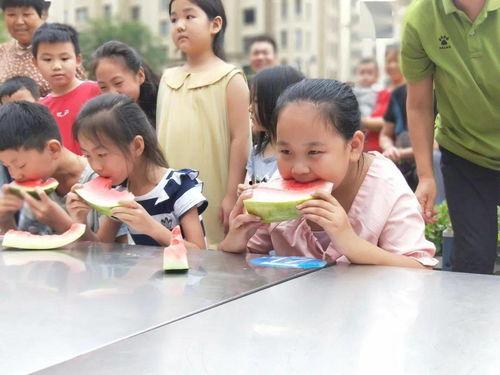 吃瓜群众想看什么剧种